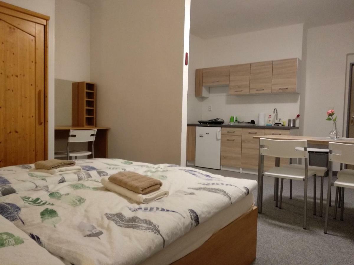 Prazdninovy Dum Na Panorame Hotel Jáchymov Buitenkant foto