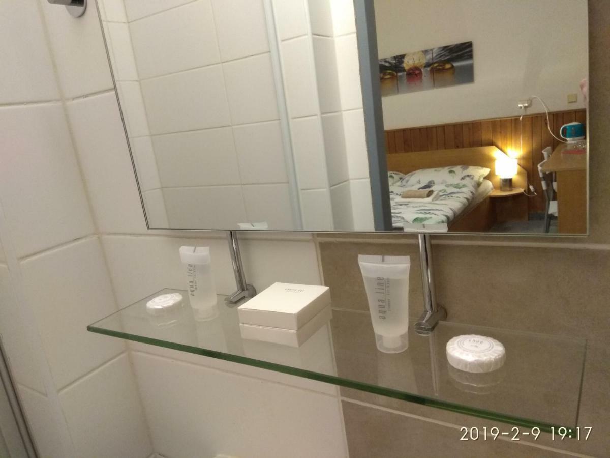 Prazdninovy Dum Na Panorame Hotel Jáchymov Buitenkant foto